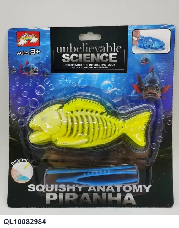 "Human Fish Dissection Skeleton Crystal Mud Card Set" Corrugated Cardboard wholesale from Qili Toys