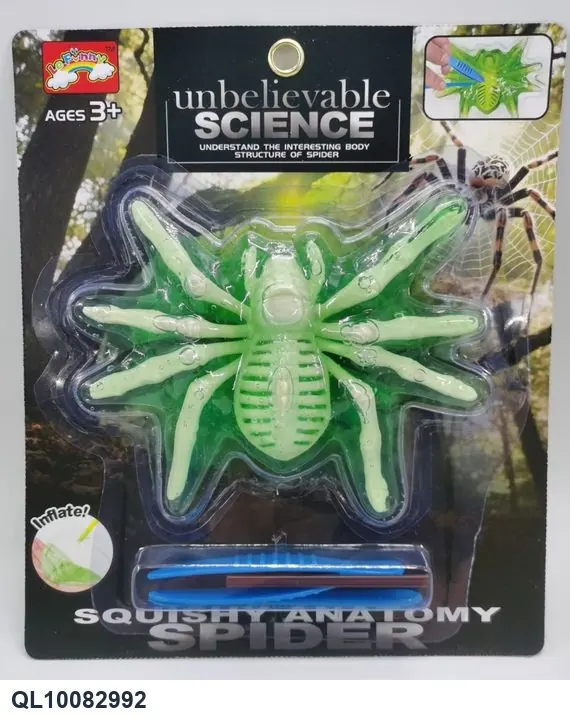 Spider Skeleton Model, Made Of Crystal Mud And Cardboard. Corrugated Cardboard wholesale from Qili Toys
