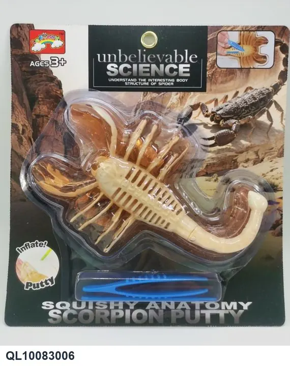 Scorpion Skeleton Model, Made Of Crystal Clay, On A Card. Corrugated Cardboard wholesale from Qili Toys